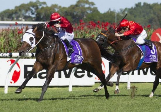  Montaigne (NZ) looks at second Group 1 in The BMW
